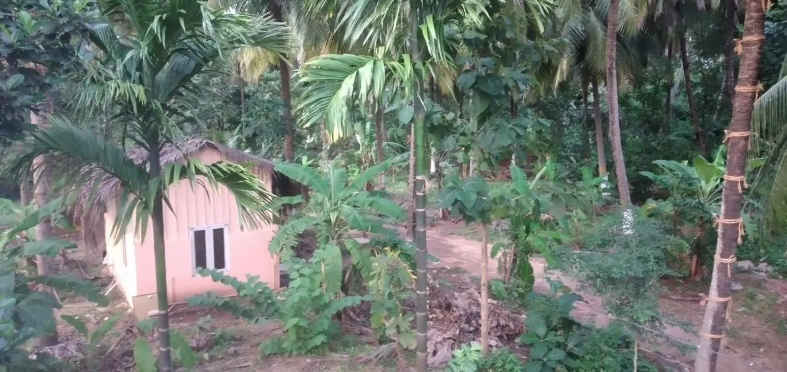 Jus Naturale Homestay Kozhinjampāra 0*,  Indie